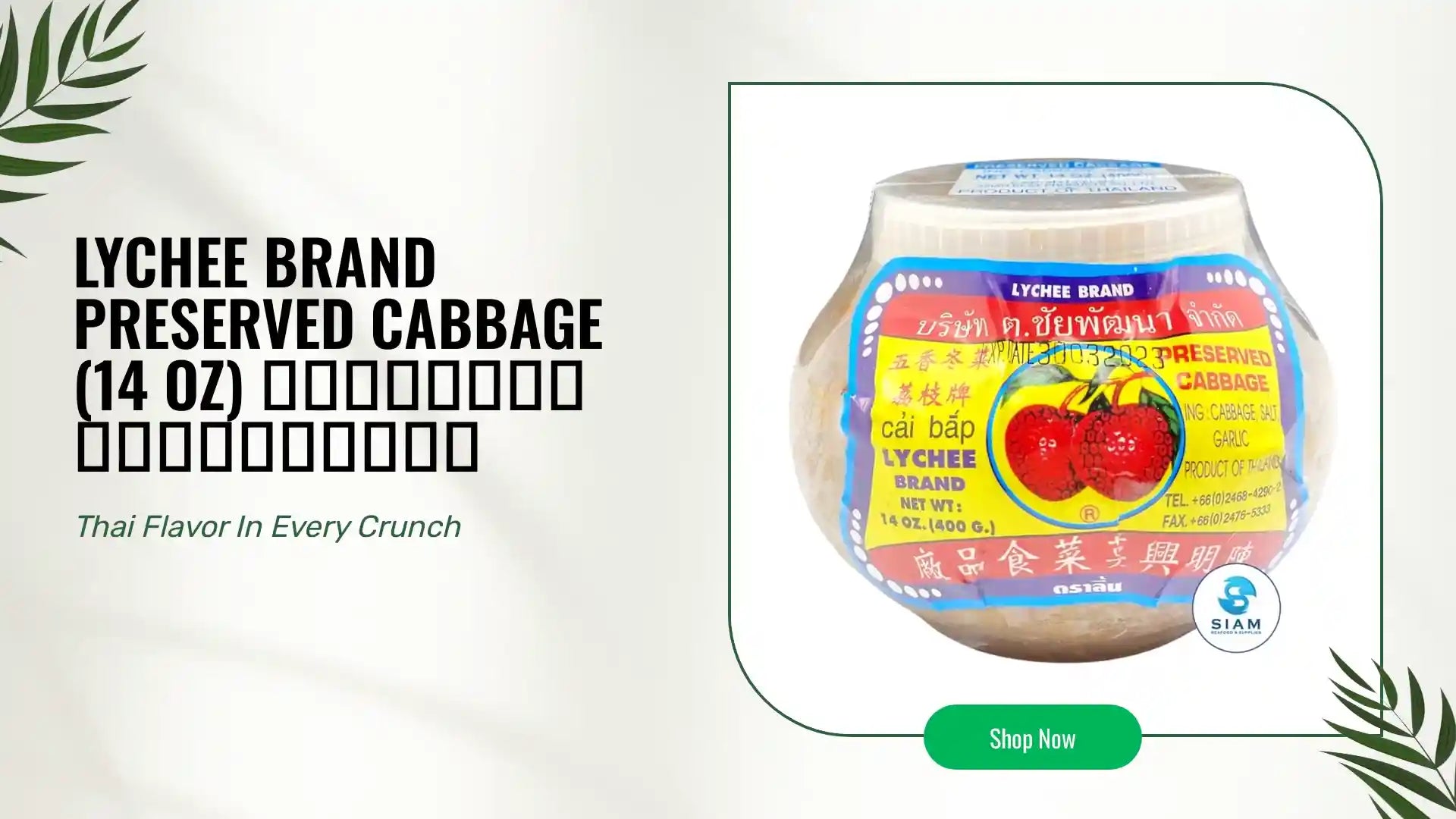 Lychee Brand Preserved Cabbage (14 oz) ตั้งฉ่าย ตราลิ้นจี่ by@Outfy