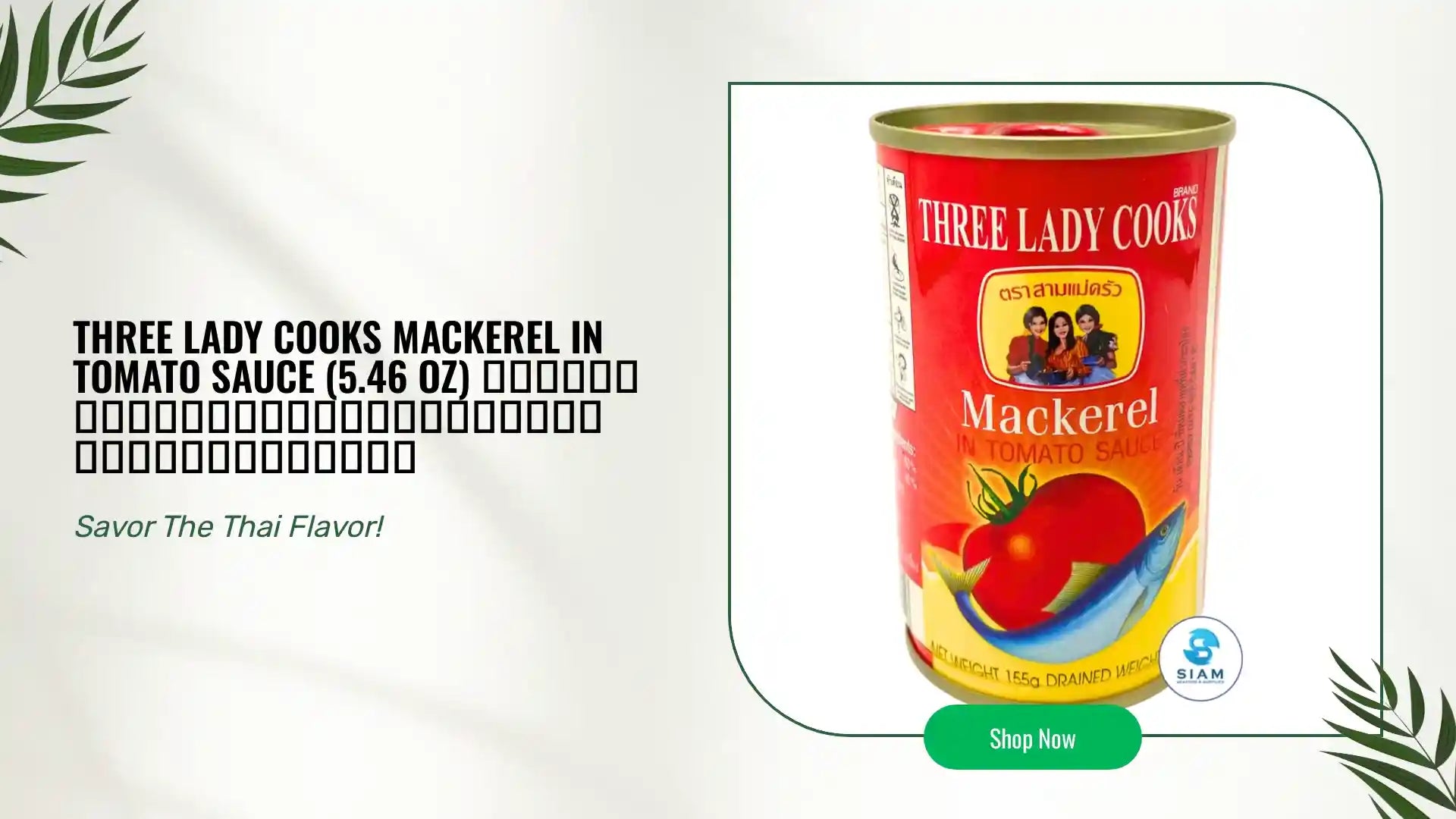 Three Lady Cooks Mackerel in Tomato Sauce (5.46 oz) ปลาแมกเคอเรลในซอสมะเขือเทศ ตราสามแม่ครัว by@Outfy