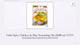 Lobo Spicy Chicken-in-Rice Seasoning Mix (0.88 oz) ผงทำข้าวหมกไก่ (ซอสผง) ตราโลโบ by@Outfy