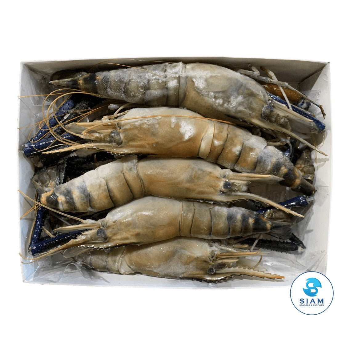Prawn Fresh Shell Free shipping thai & asian grocery anywhere in the u.s.