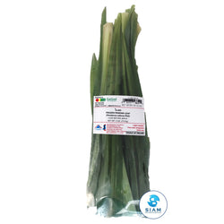 Pandan Leaf, Frozen - FoodHut (4 oz) FoodHut