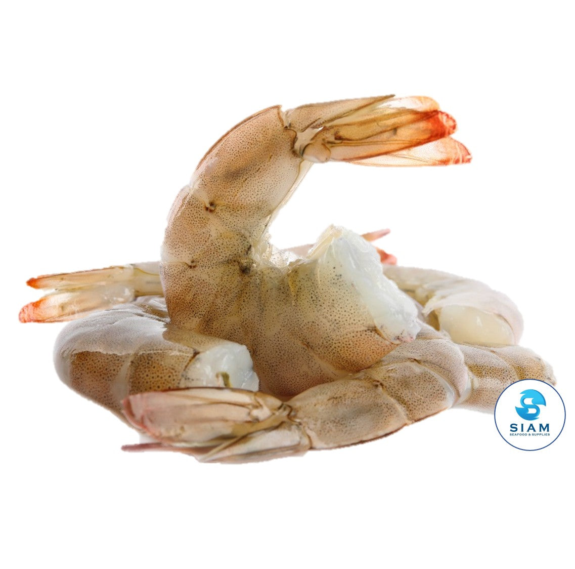 Shell-on (HLSO), White Asian Shrimp, Extra Jumbo 16/20 (24 lbs case-$6.65/lb) กุ้งเอเชียแบบมีเปลือก ขนาด 16-20 ตัวต่อปอนด์ แบบยกลัง Brand may vary